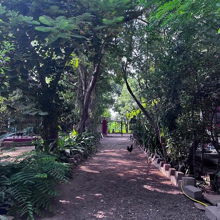 Sharad Baug Homestay Бхудж Экстерьер фото