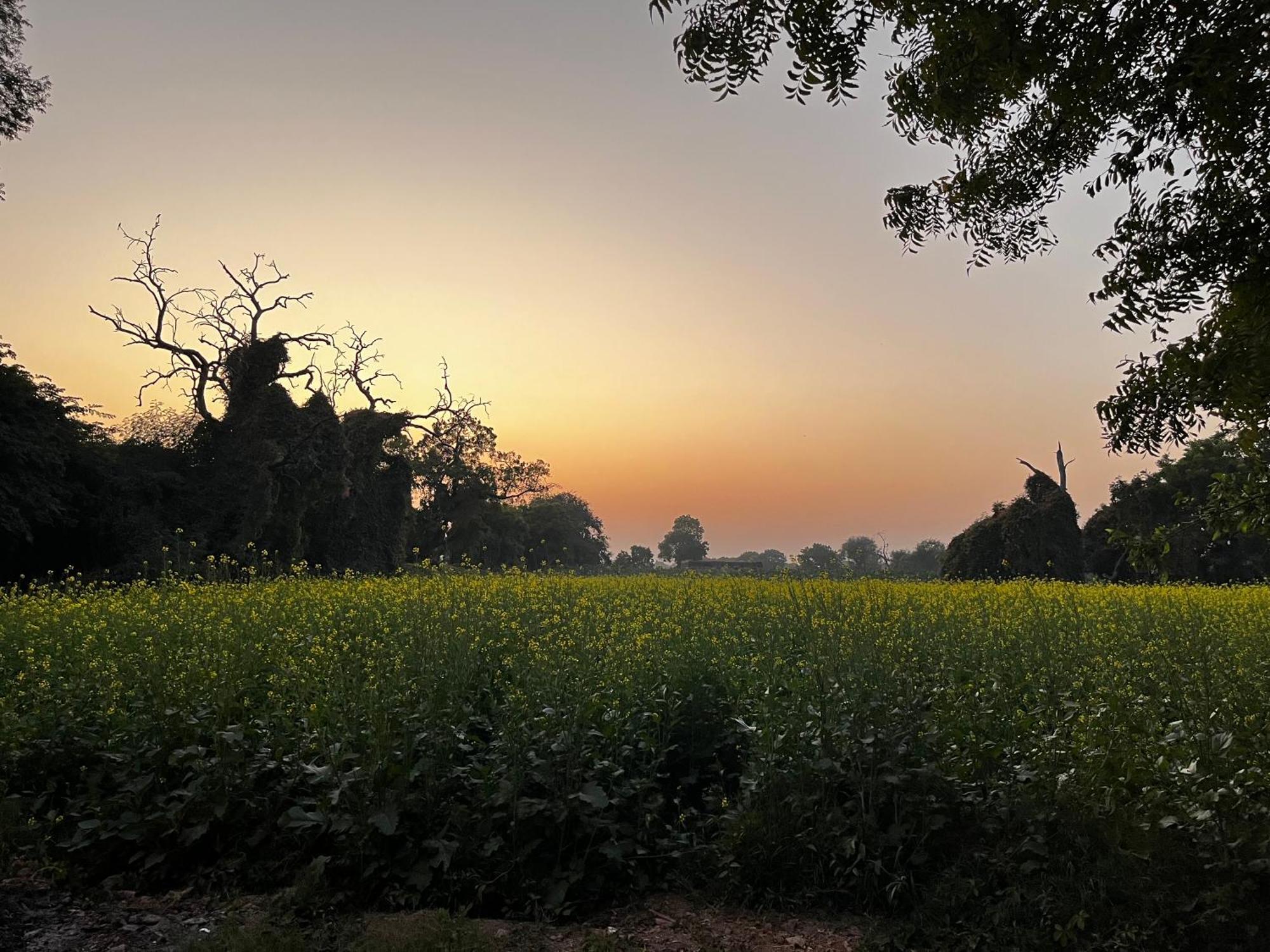 Sharad Baug Homestay Бхудж Экстерьер фото